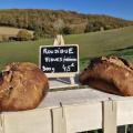 Roudigue figues